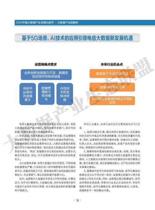 大数据产业生态联盟2020中国大数据产业发展白皮书 大数据服务的崛起与变革